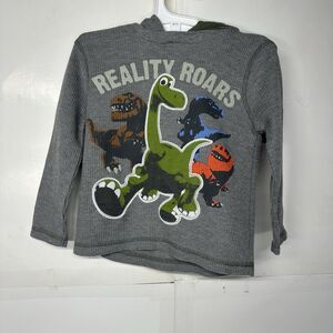 Disney Pixar The Good Dinosaur Toddler Boys Light Gray Long Sweatshirt Size 3T